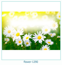 फूल फोटो फ्रेम 1290