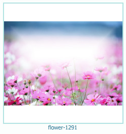 फूल फोटो फ्रेम 1291