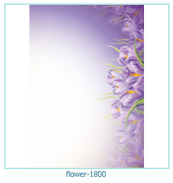 फूल फोटो फ्रेम 1800