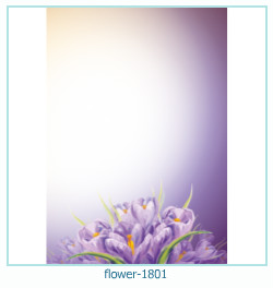 फूल फोटो फ्रेम 1801