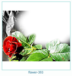 फूल फोटो फ्रेम 393