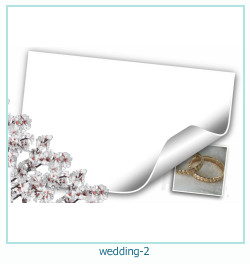 शादी के फोटो फ्रेम 2