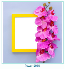 फूल फोटो फ्रेम 2030