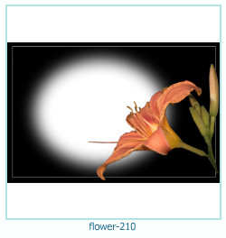 फूल फोटो फ्रेम 210