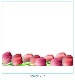 फूल फोटो फ्रेम 262