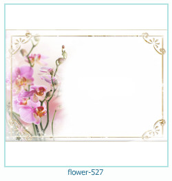 फूल फोटो फ्रेम 527