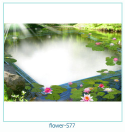 फूल फोटो फ्रेम 577