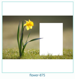 फूल फोटो फ्रेम 875