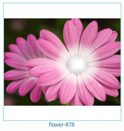 फूल फोटो फ्रेम 878