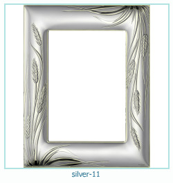 silver Photo frame 11