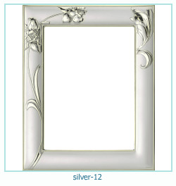 silver Photo frame 12