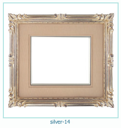 silver Photo frame 14
