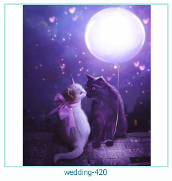 शादी के फोटो फ्रेम 420